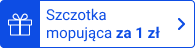 Szczotka mopująca za 1 zł