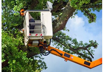 Piła elektryczna na wysięgniku – ranking [TOP10]