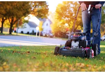 Jakie są rodzaje kosiarek do trawy