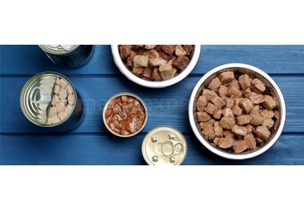 Najlepsza mokra karma dla psa – ranking 2024 [TOP10]