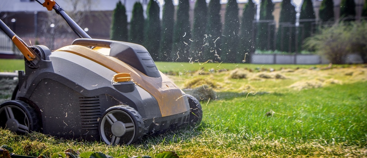 Aerator wertykulator Aerator wertykulator