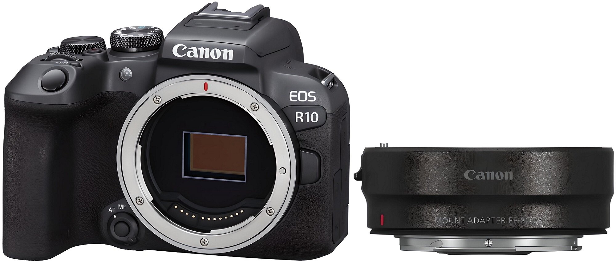 CANON EOS R10 Body + Adapter EFEOS R Aparat niskie ceny i opinie w