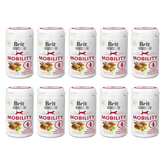 DOGGY Dog Paté Huhn Sensitive, 10 x 150 g, Nassfutter für Hunde, getreidefreies Hundefutter mit DOGGY Dog Paté Huhn Sensitive, 10 x 150 g, Nassfutter für Hunde, getreidefreies Hundefutter mit
