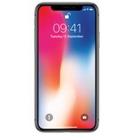 iPhoneX（256GB） APPLE iPhone X 256GB 5.8
