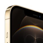 APPLE iPhone 12 Pro Max 256GB 5G 6.7