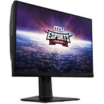 MSI G253PF 24.5
