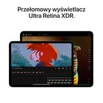 APPLE iPad Pro 13