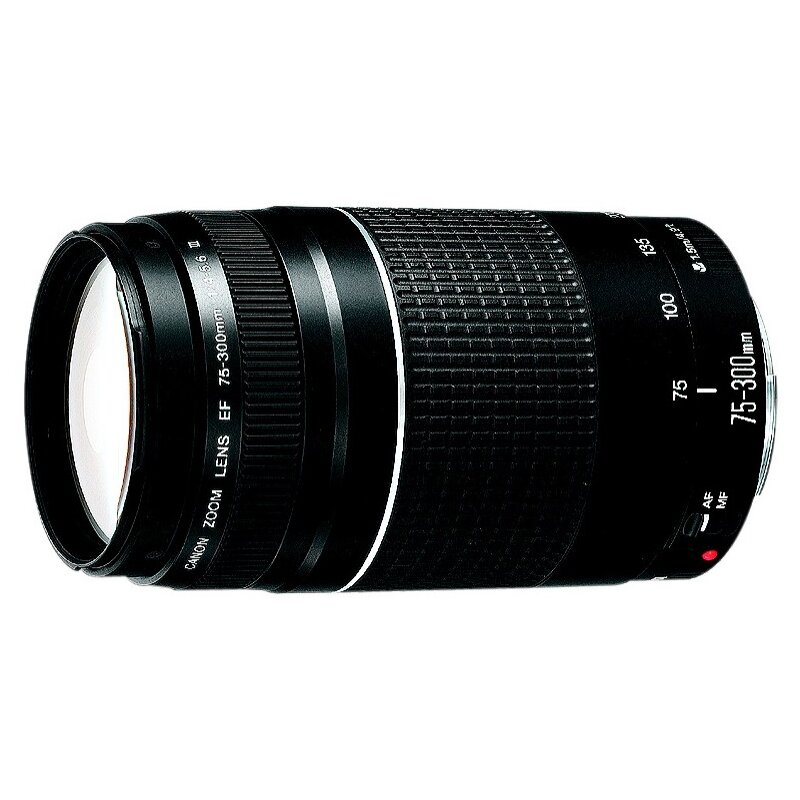 Obiektyw CANON EF 75-300 mm f/4-5.6 III