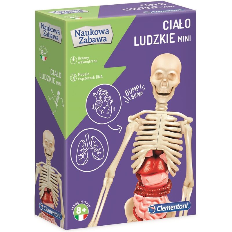 Model człowieka CLEMENTONI Naukowa Zabawa Ciało ludzkie mini C50515
