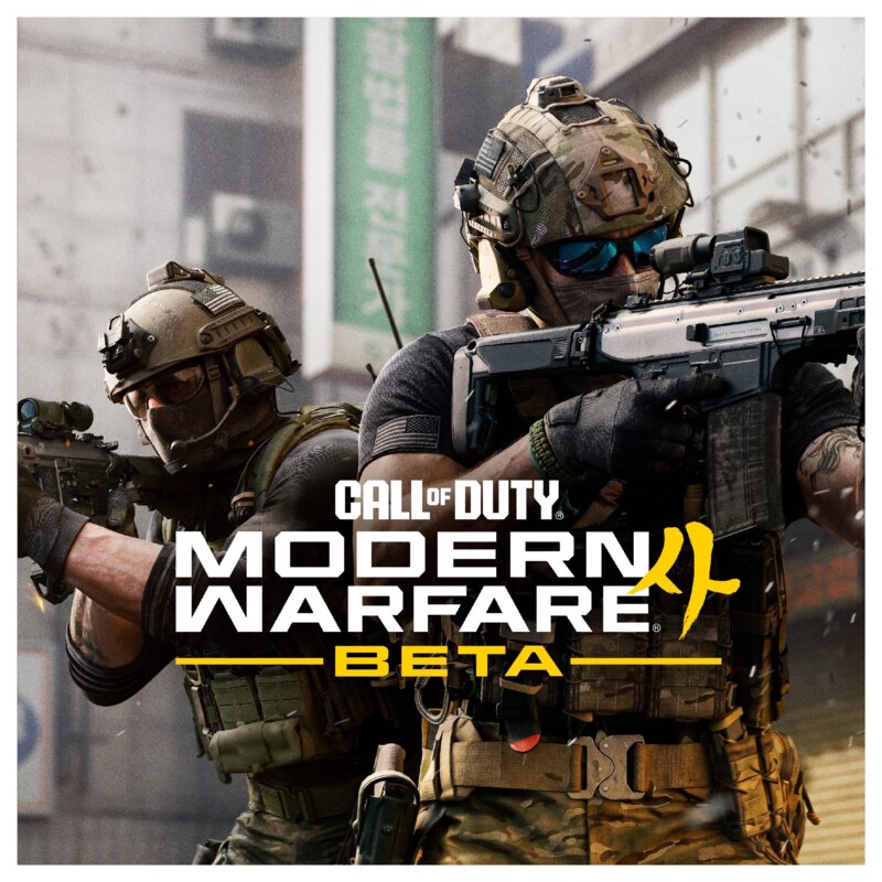 Gra PS5 PLAION Call of Duty: Modern Warfare 4
