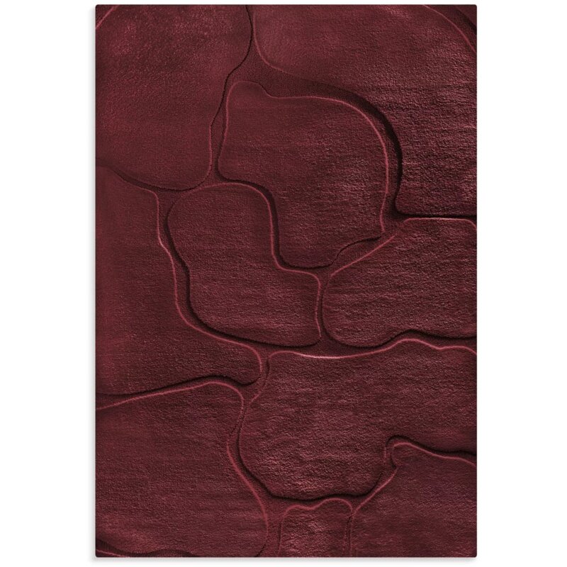 Dywan EUROFIRANY Alba4 80 x 150 cm Bordowy