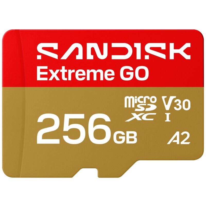 Karta pamięci SANDISK Extreme GO microSDXC 256GB