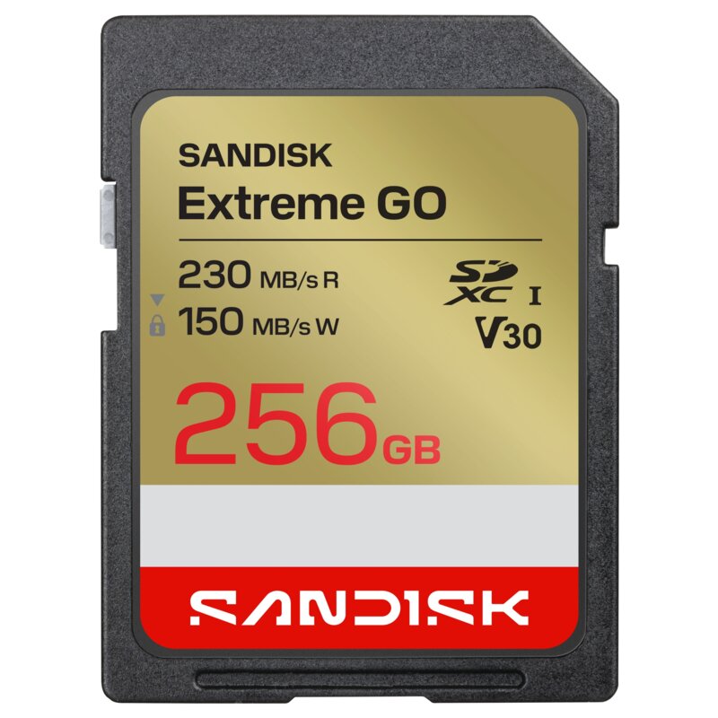 Karta pamięci SANDISK Extreme GO SDXC 256GB