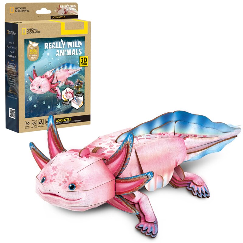 Puzzle 3D CUBIC FUN National Geographic Aksolotl (50 elementy)
