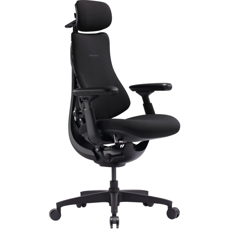 Krzesło biurowe ergonomiczne LIBERNOVO LNOC1-SE Czarny