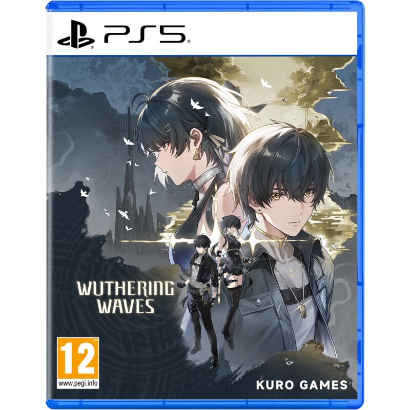 Wuthering Waves Deluxe Collection Gra PS5