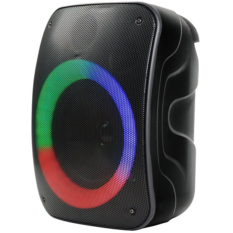 Rebeltec Stage 300  35W Radio FM Czarny