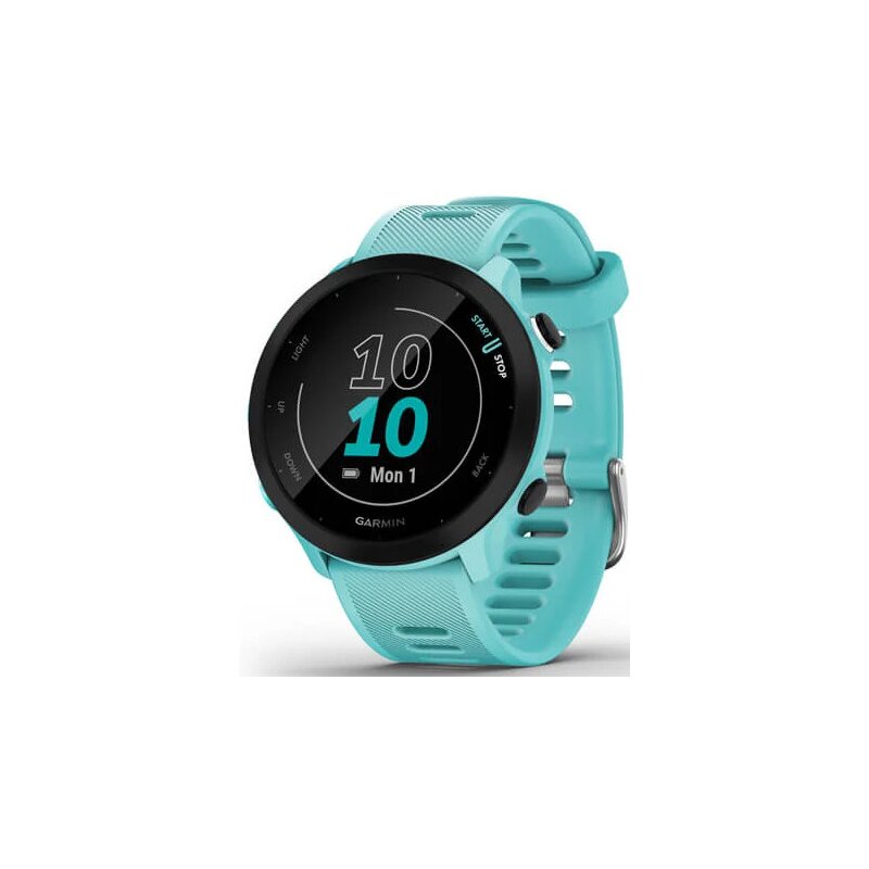 Garmin Forerunner 55 42mm GPS Niebieski