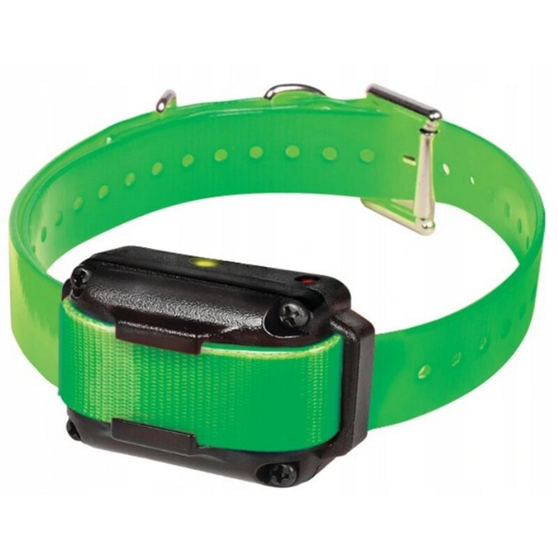 Obroża ZOLUX 487045 (25 - 30 cm) Zielony