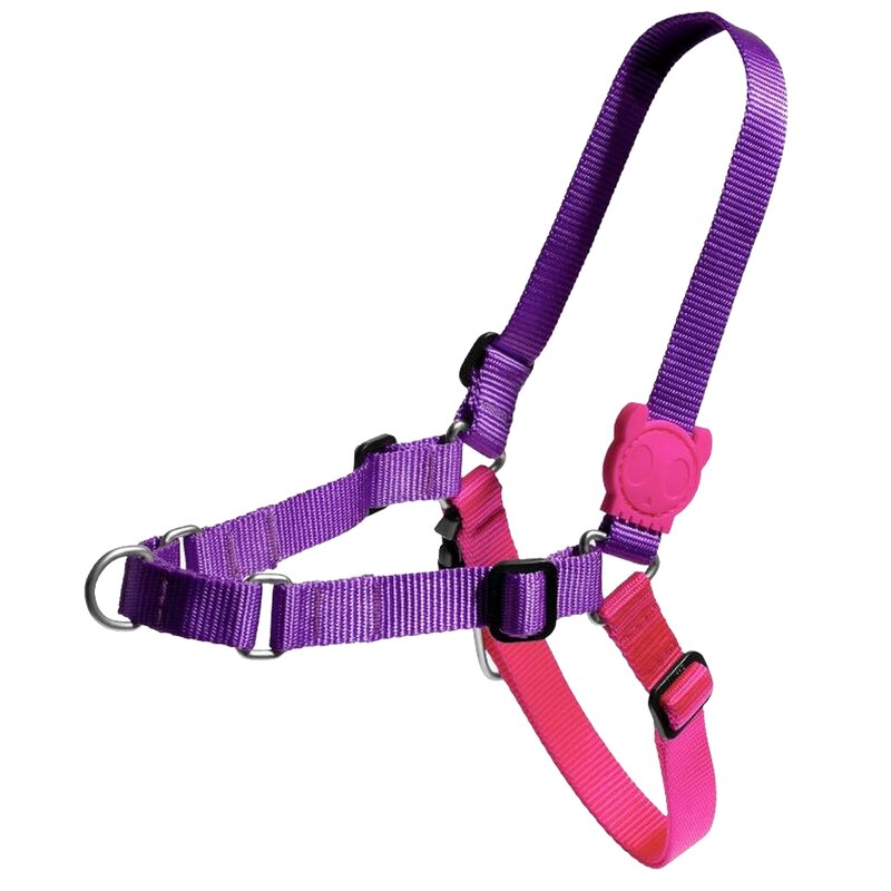 Szelki dla psa ZEE DOG Vega Soft-Walk L Fioletowo-różowy