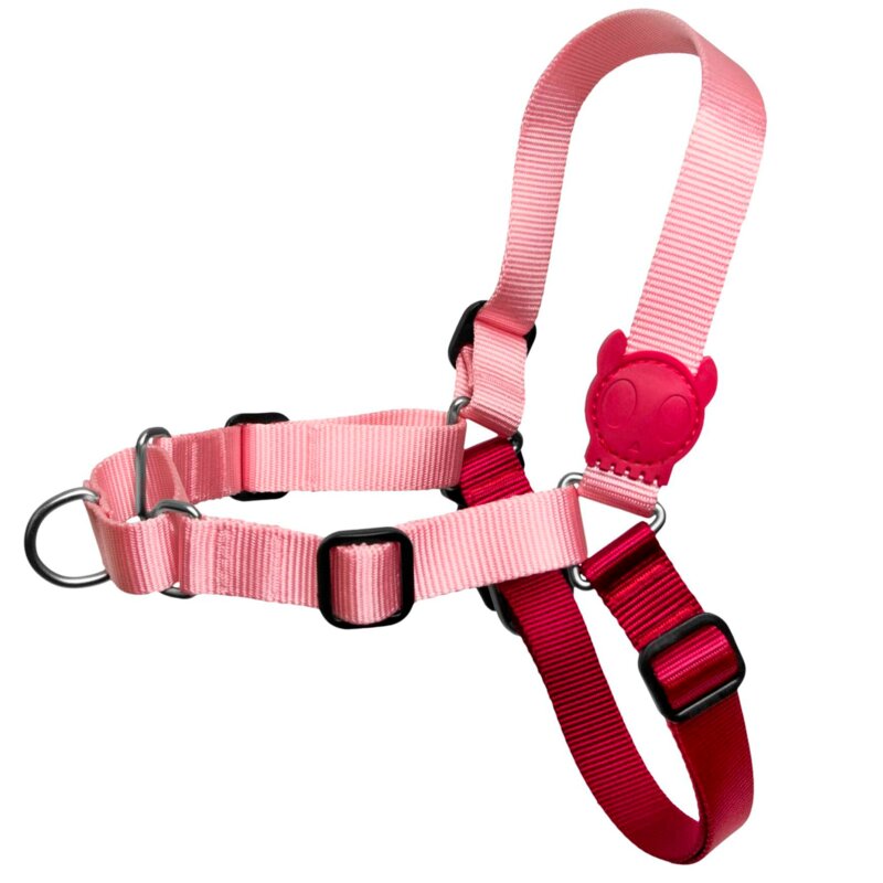 Szelki dla psa ZEE DOG Blink Soft-Walk M
