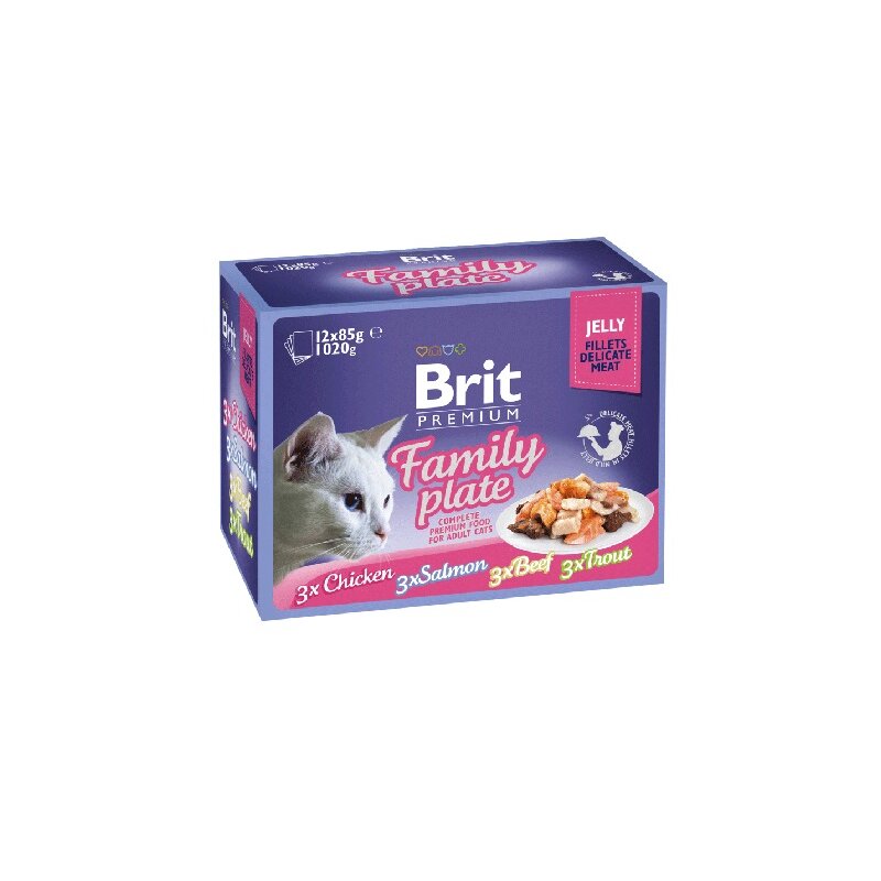 Karma dla kota BRIT Pouch Jelly Fillet Family Plate Mix smaków (12 x 85 g)
