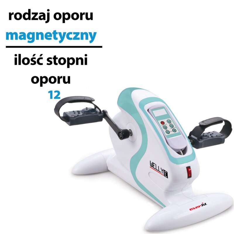 Rotor EVERFIT Welly E