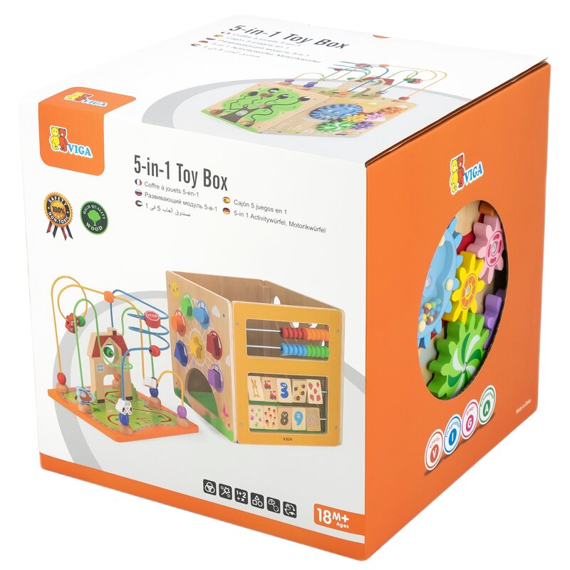 Zabawka edukacyjna VIGA Kostka 5w1 44591