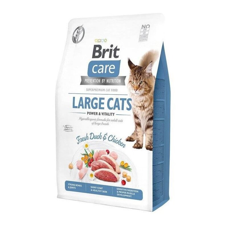 Karma dla kota BRIT Care Large Cats Power & Vitality Świeża Kaczka i Kurczak 2 kg