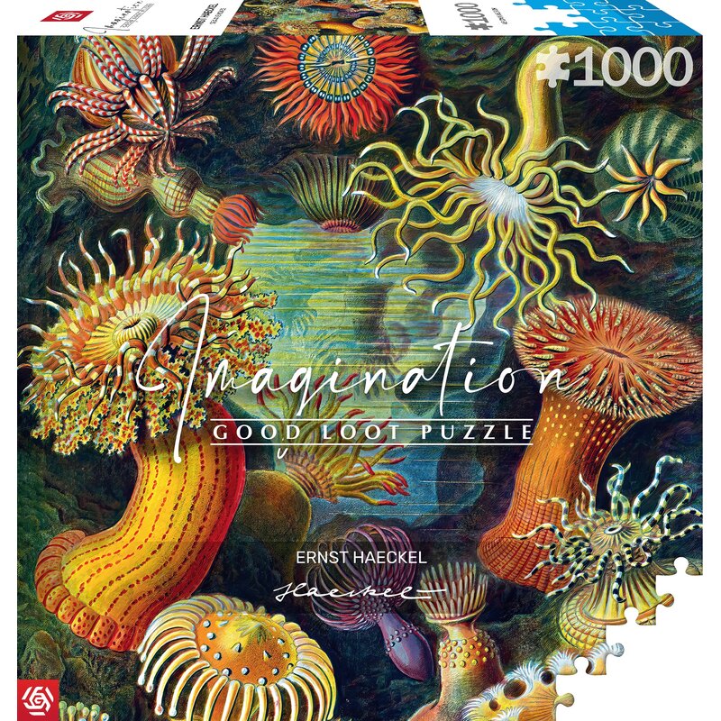 Puzzle GOOD LOOT Imagination Ernst Haeckel Sea Anemones / Stworzenia morskie (1000 elementów)