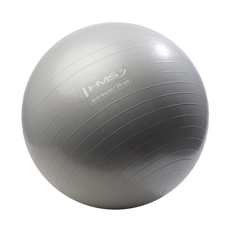 Piłka gimnastyczna HMS YB02 Grafitowy (55 cm)