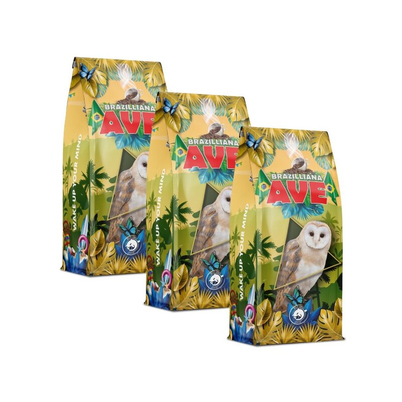 Kawa ziarnista BLUE ORCA COFFEE Brazilliana Ave Arabica 3 x 1 kg