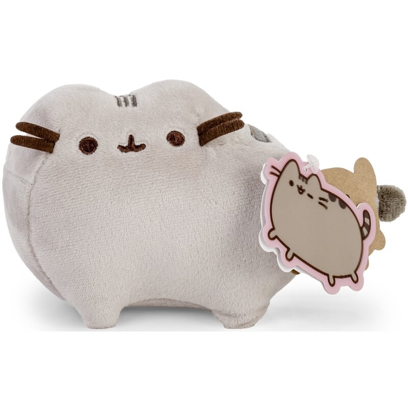 Maskotka AURORA Pusheen Mały P-222