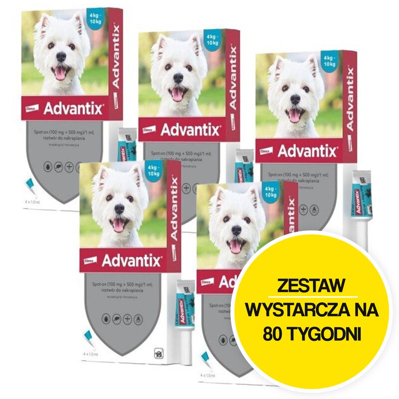 Krople na pchły i kleszcze ADVANTIX Spot-on Małe psy (4-10 kg) 20 x 1 ml