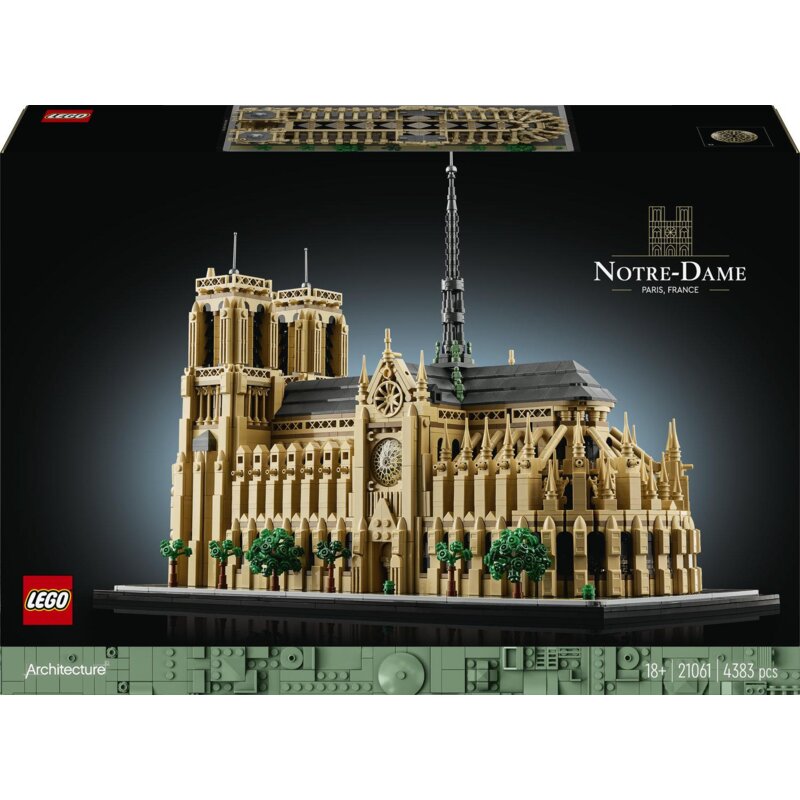 Notre-dame w paryżu 21061