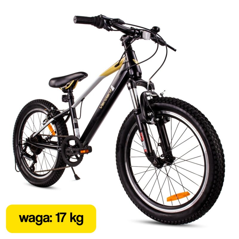 Rower dziecięcy SUN BABY Verdant Juniper 20 cali Czarno-złoty Wzrost: 120-135 cm Wiek: 5-9 lat