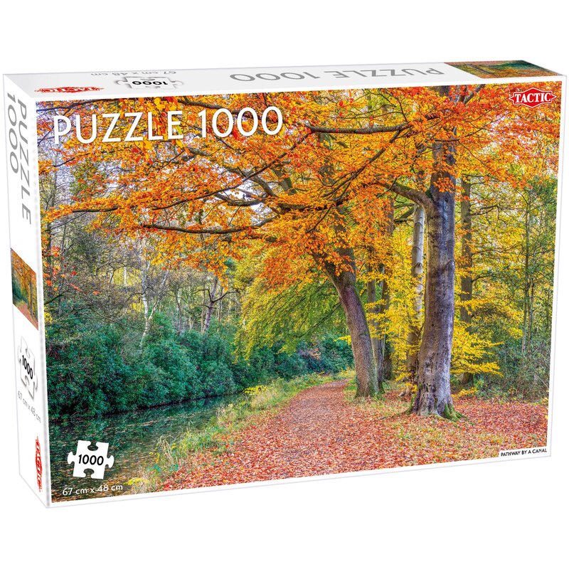 Puzzle TACTIC Lovers Pathway by a Canal 56238 (1000 elementów)