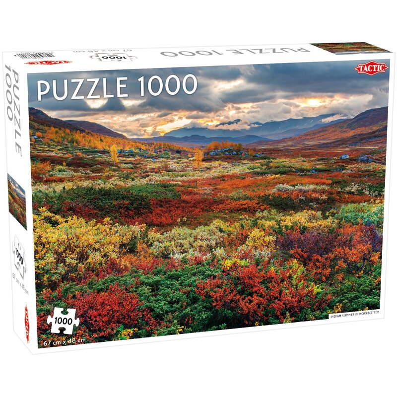 Puzzle TACTIC Lovers Indian Summer in Norrbotten 56681 (1000 elementów)
