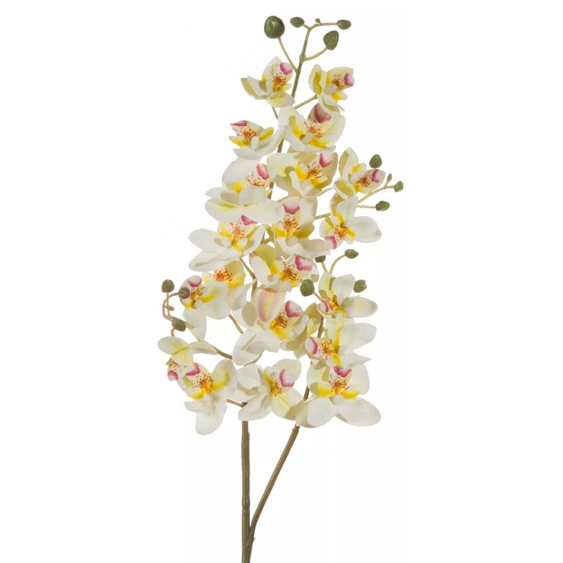 Sztuczny kwiat EUROFIRANY Natu 367 Storczyk Biały
