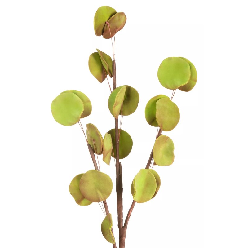 Sztuczna roślina EUROFIRANY Flore 418029 Eukaliptus Zielony