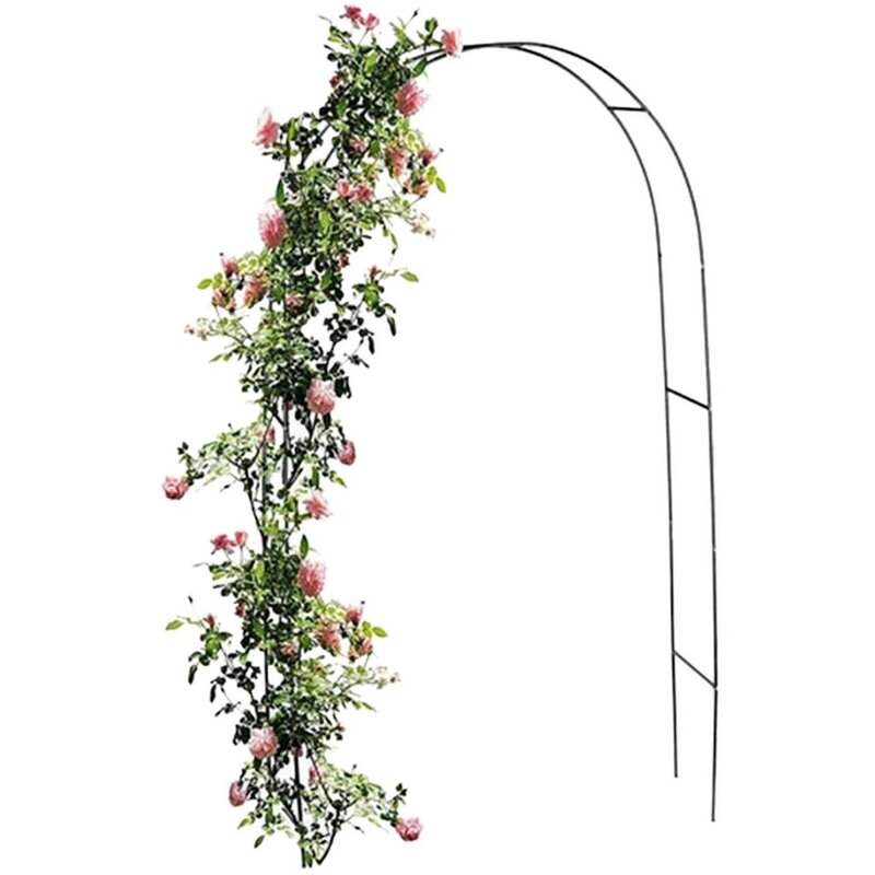 Pergola ogrodowa KINZO 137520 (240 cm)