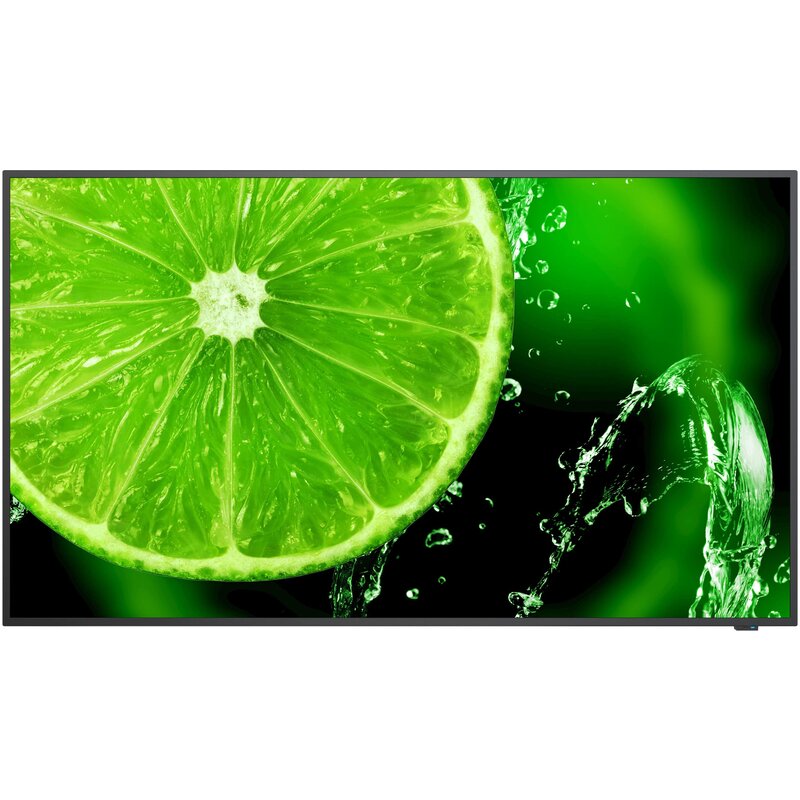 Monitor NEC MultiSync E328-2 31.5