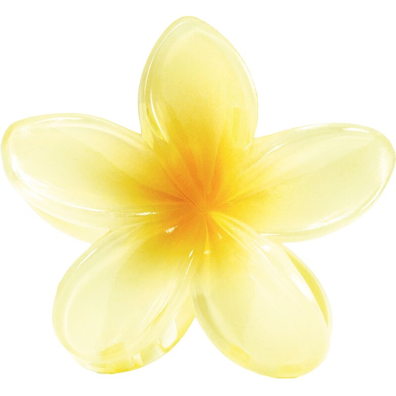 Klamra do włosów BEAUTIFLY A05 Kwiatek