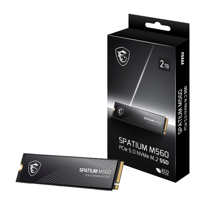 Dysk MSI Spatium M560 2TB SSD