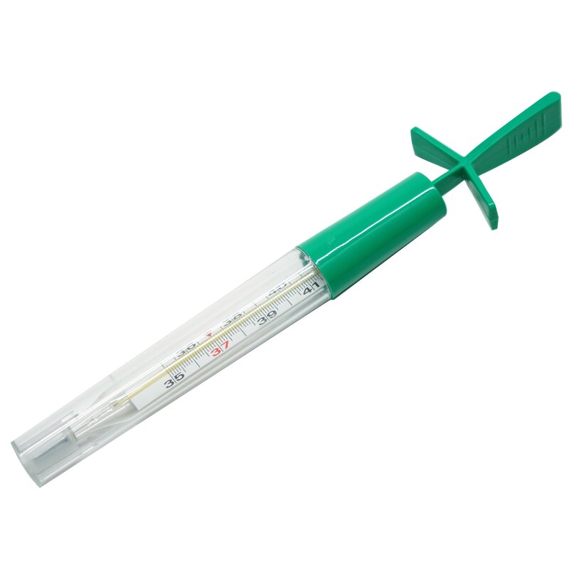 Termometr CONTROLY TER000001