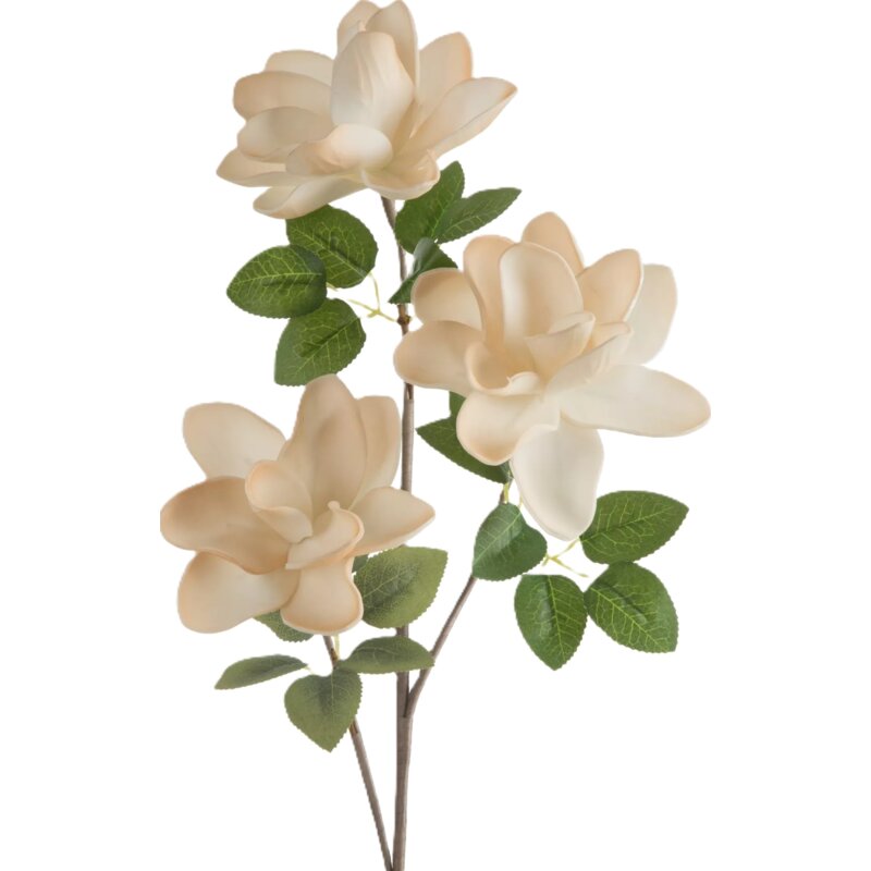Kwiat dekoracyjny EUROFIRANY Flore 752 14 x 68 cm Kremowy
