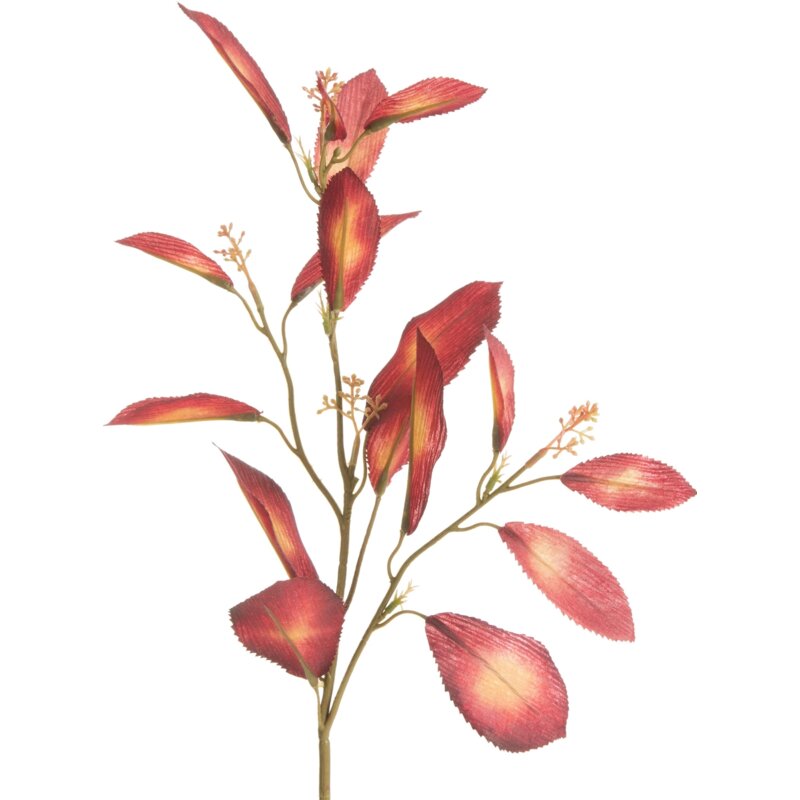 Sztuczny kwiat EUROFIRANY 460076 Bordowy