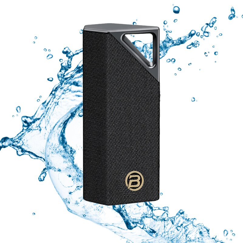 Głośnik mobilny BUGANI Brief Czarno-srebrny