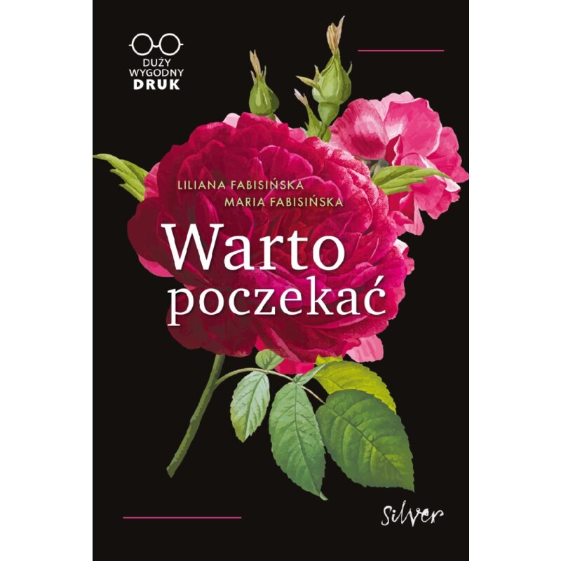 Warto poczekać (duży druk) Liliana Fabisińska