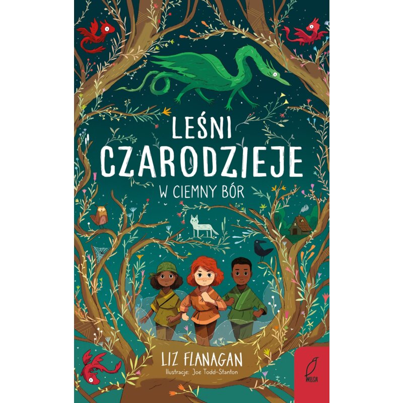 Leśni Czarodzieje. W ciemny bór Liz Flanagan